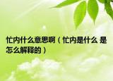 忙内什么意思啊（忙内是什么 是怎么解释的）