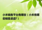 小米销售平台有哪些（小米有哪些销售渠道?）