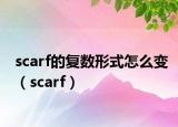 scarf的复数形式怎么变（scarf）