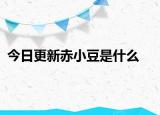 今日更新赤小豆是什么