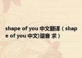shape of you 中文翻译（shape of you 中文)谐音 求）