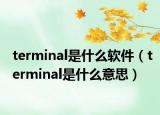 terminal是什么软件（terminal是什么意思）