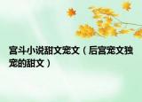 宫斗小说甜文宠文（后宫宠文独宠的甜文）