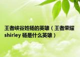 王者峡谷姓杨的英雄（王者荣耀 shirley 杨是什么英雄）