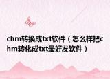 chm转换成txt软件（怎么样把chm转化成txt最好发软件）