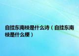自挂东南枝是什么诗（自挂东南枝是什么梗）