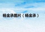 杨金承图片（杨金承）
