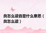贠怎么读音是什么意思（贠怎么读）