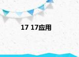 17 17应用