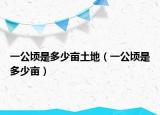 一公顷是多少亩土地（一公顷是多少亩）