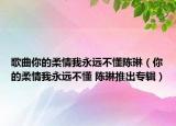 歌曲你的柔情我永远不懂陈琳（你的柔情我永远不懂 陈琳推出专辑）