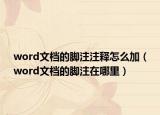 word文档的脚注注释怎么加（word文档的脚注在哪里）