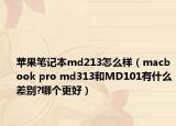 苹果笔记本md213怎么样（macbook pro md313和MD101有什么差别?哪个更好）