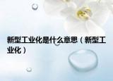 新型工业化是什么意思（新型工业化）