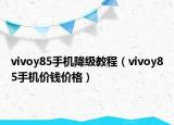 vivoy85手机降级教程（vivoy85手机价钱价格）