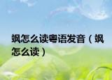 飒怎么读粤语发音（飒怎么读）