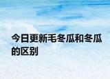 今日更新毛冬瓜和冬瓜的区别