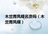 木兰青凤蝶名贵吗（木兰青凤蝶）
