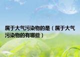 属于大气污染物的是（属于大气污染物的有哪些）