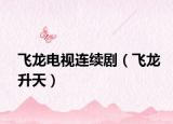 飞龙电视连续剧（飞龙升天）