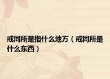 戒同所是指什么地方（戒同所是什么东西）