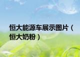 恒大能源车展示图片（恒大奶粉）