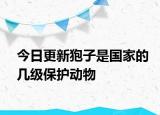今日更新狍子是国家的几级保护动物
