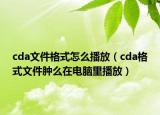 cda文件格式怎么播放（cda格式文件肿么在电脑里播放）