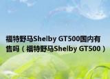 福特野马Shelby GT500国内有售吗（福特野马Shelby GT500）