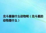 北斗星像什么动物呢（北斗星的动物是什么）