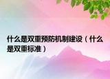 什么是双重预防机制建设（什么是双重标准）