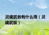 灵魂武者有什么用（灵魂武装）