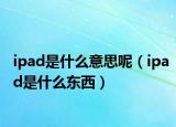 ipad是什么意思呢（ipad是什么东西）