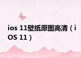 ios 11壁纸原图高清（iOS 11）