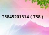 T5845201314（T58）