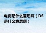 电商是什么意思啊（DS是什么意思啊）