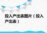 投入产出表图片（投入产出表）
