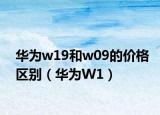 华为w19和w09的价格区别（华为W1）