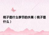 桃子是什么季节的水果（桃子是什么）