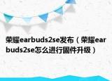 荣耀earbuds2se发布（荣耀earbuds2se怎么进行固件升级）