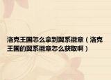 洛克王国怎么拿到翼系徽章（洛克王国的翼系徽章怎么获取啊）