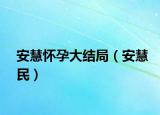 安慧怀孕大结局（安慧民）