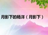 月影下的杨洋（月影下）