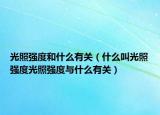 光照强度和什么有关（什么叫光照强度光照强度与什么有关）