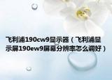 飞利浦190cw9显示器（飞利浦显示屏190ew9屏幕分辨率怎么调好）