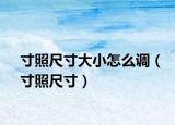 寸照尺寸大小怎么调（寸照尺寸）