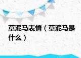 草泥马表情（草泥马是什么）