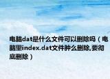 电脑dat是什么文件可以删除吗（电脑里index.dat文件肿么删除,要彻底删除）