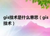 gis技术是什么意思（gis技术）