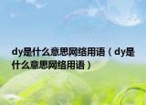 dy是什么意思网络用语（dy是什么意思网络用语）